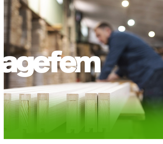 AGEFEM-16